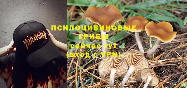 ГАЛЛЮЦИНОГЕННЫЕ ГРИБЫ Абдулино