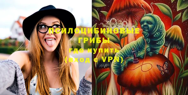 ГАЛЛЮЦИНОГЕННЫЕ ГРИБЫ Абдулино