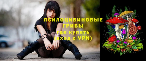 МДПВ Абаза