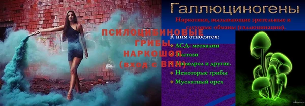 ГАЛЛЮЦИНОГЕННЫЕ ГРИБЫ Абдулино
