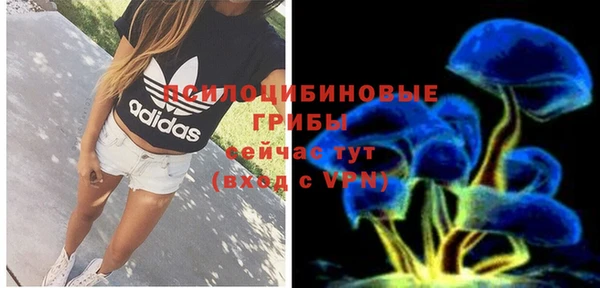 ешки Абинск