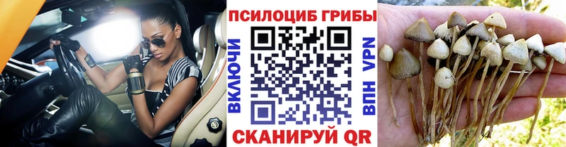 Псилоцибиновые грибы ЛСД где можно купить Абдулино